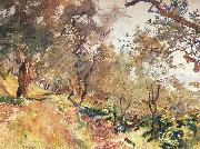 Trees on the Hillside at Majorca John Singer Sargent